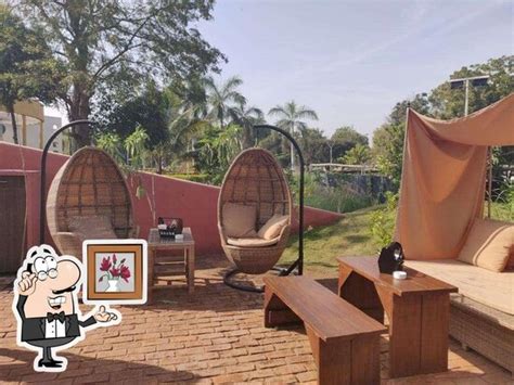 mocha cafe gandhinagar|Mocha Gandhinagar, Gandhinagar, Infocity Club And Resort.